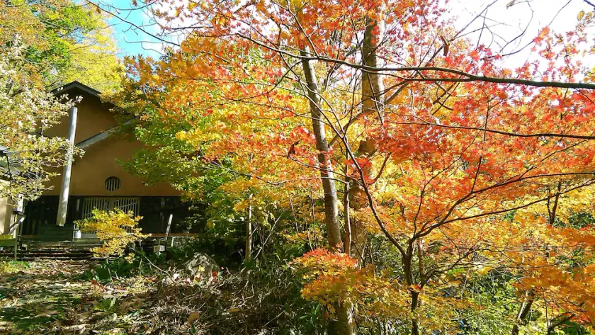 Nurukawa Onsen Hotel - Image 1