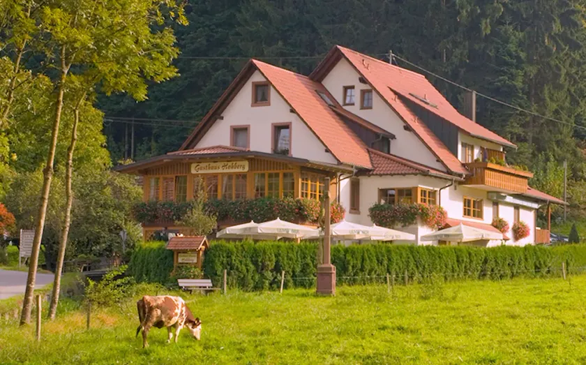 Gasthaus Hohberg - Image 1