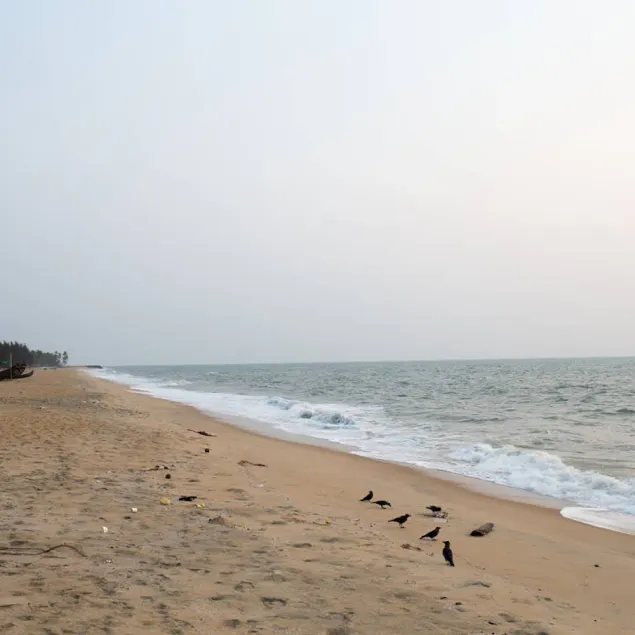 KUZHUPPILLY BEACH HOUSE - Image 1