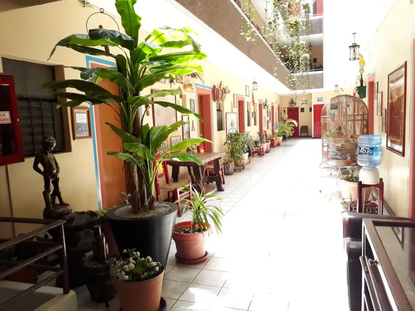 Hotel Janeiro - Image 1