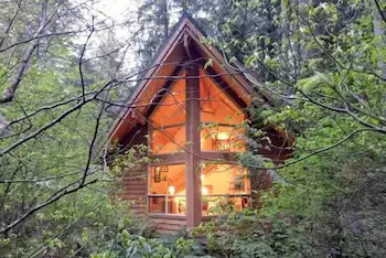 Mt Baker Lodging Cabin 4 - Sleeps 5 - Image 1