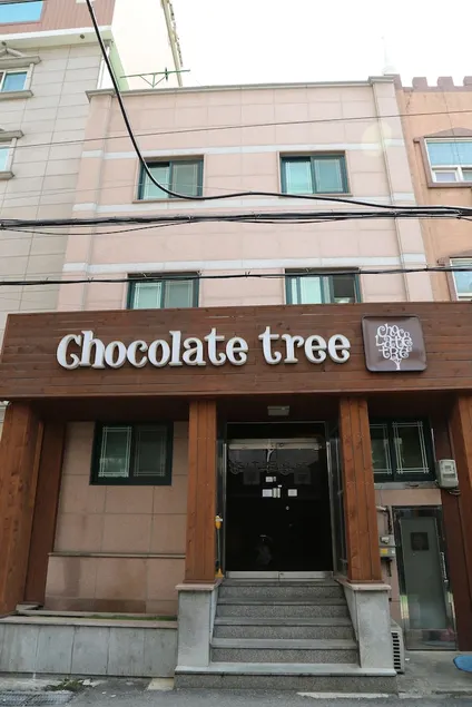 Chocolate Tree - Image 1