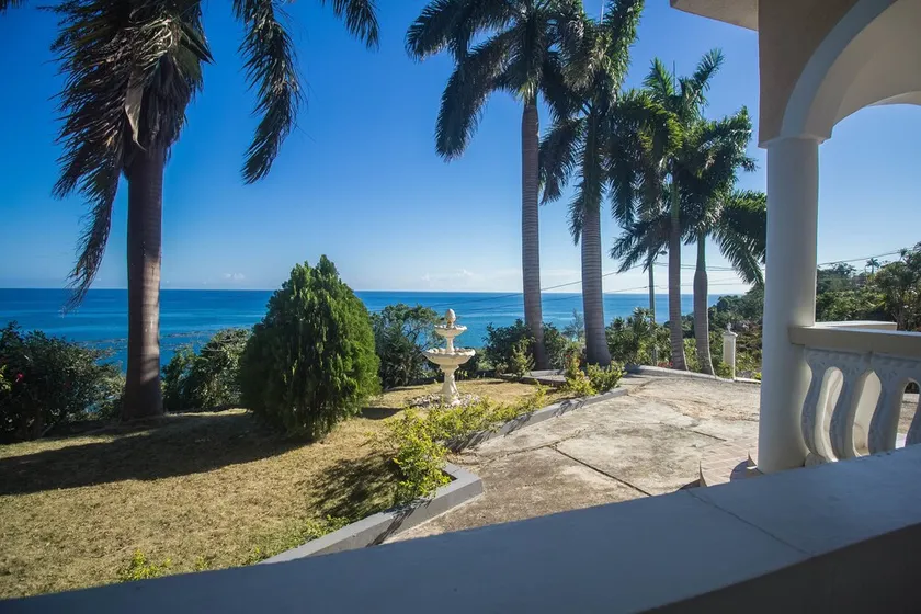 Tall Palms - Image 1