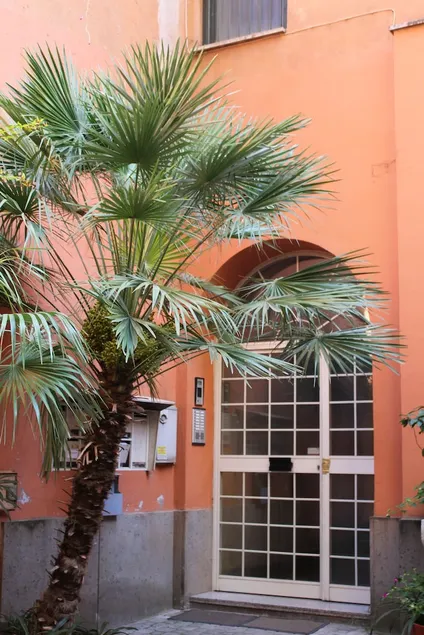 Interno Romano - Image 1