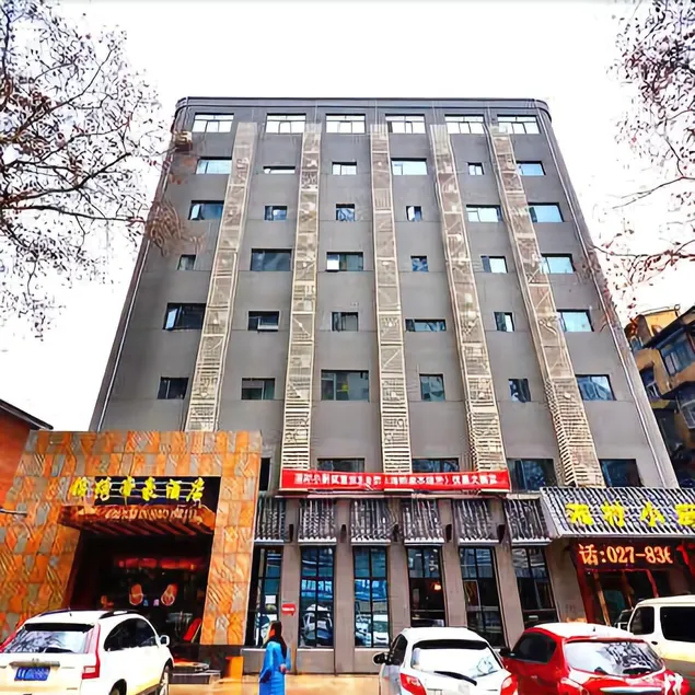 TRUE GO Hotel (Wuhan Jiefang Avenue Tongji Hospital) - Image 1