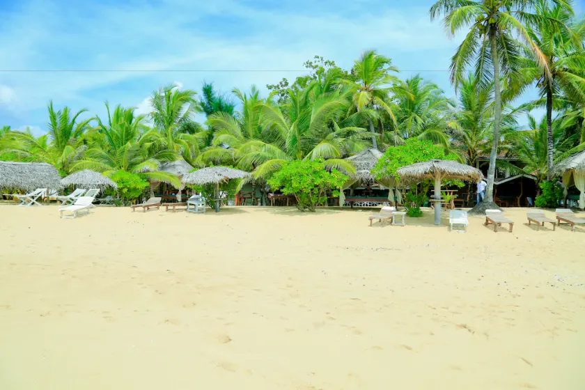 Ibis Guesthouse - Image 1