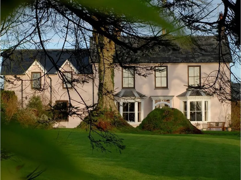 Cefn-y-Dre - B&B - Image 1