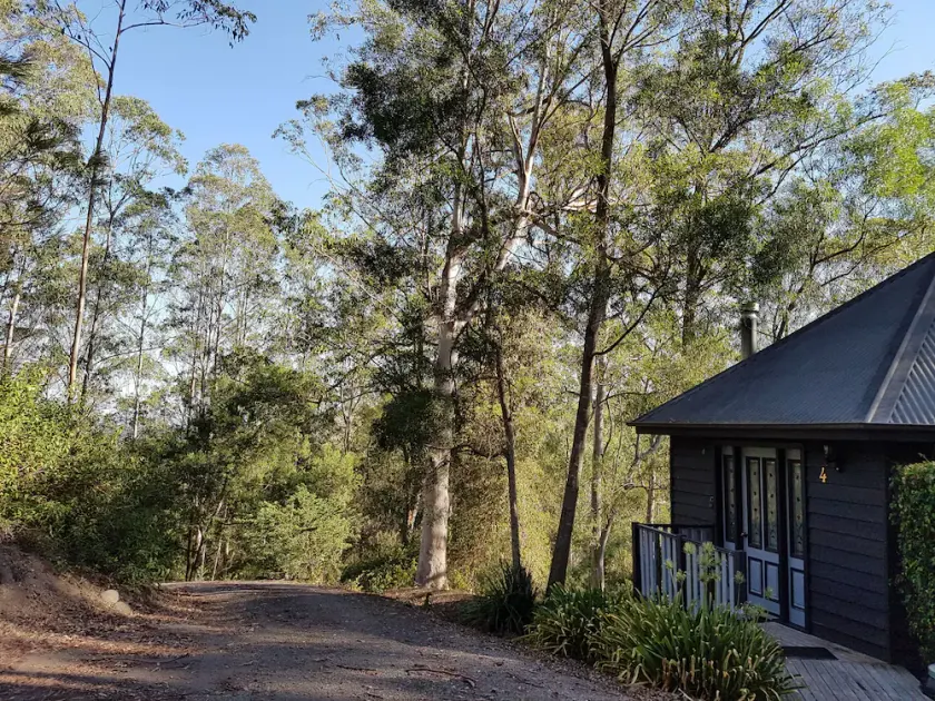 Barrington Tops Nest - Image 1