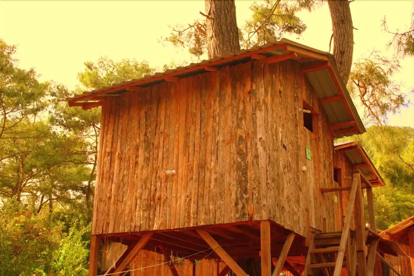 Saban Tree Houses - Image 1