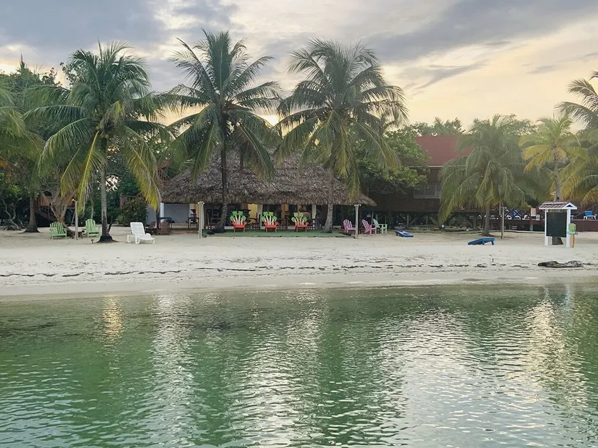 Green Parrot Beach Houses & Resort Belize - Image 1