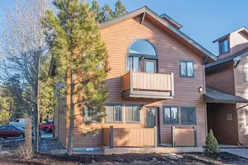 Sugar Pine - Image 1