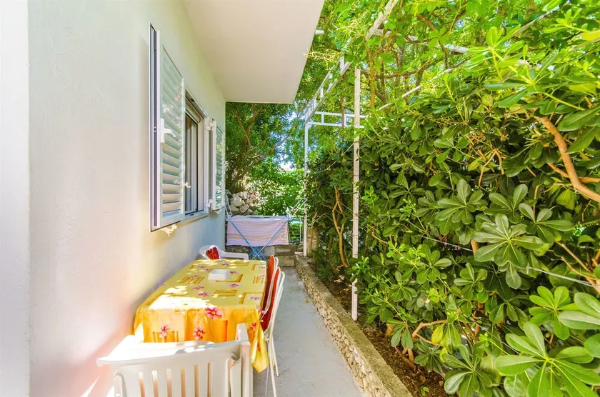 House Rose - Image 1