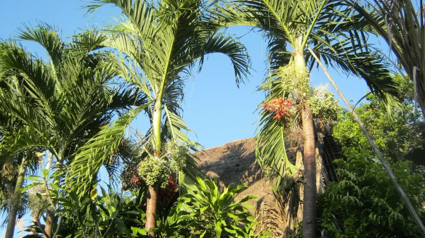 Desa Cepaka Homestay - Image 1