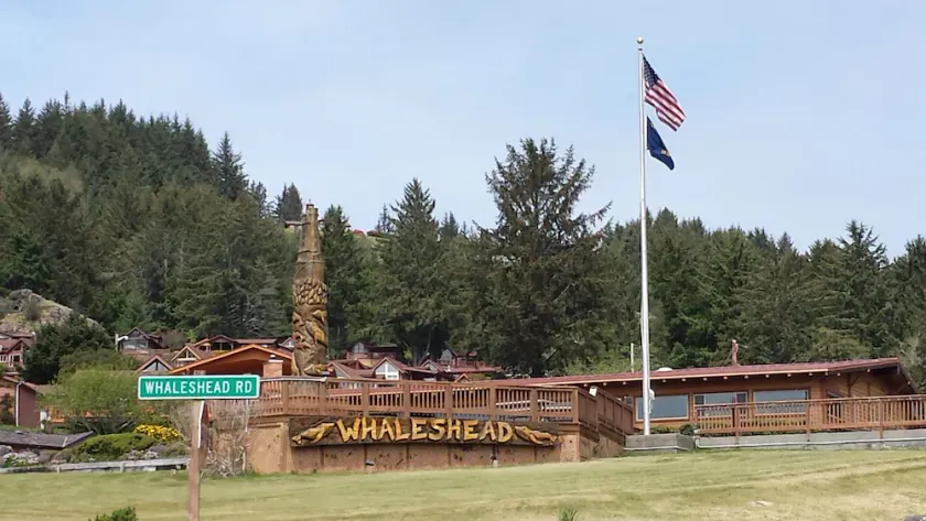 Whaleshead Beach Resort - Image 1