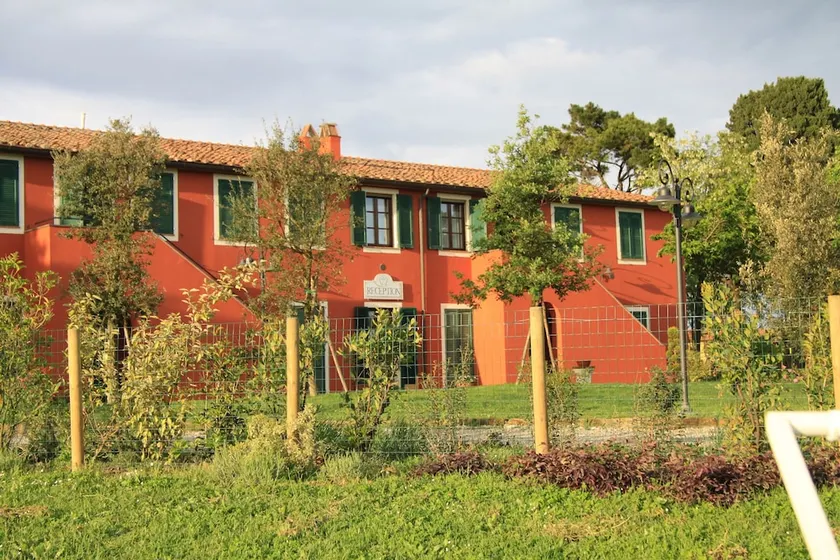 Country House Podere Le Rane Felici - Image 1