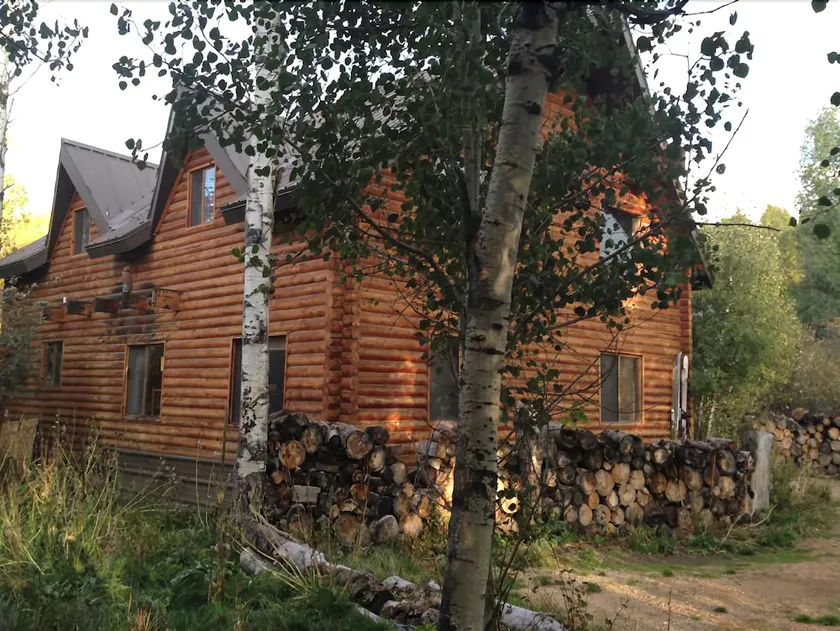 The Aspen Moose Vacation Cabin - Image 1