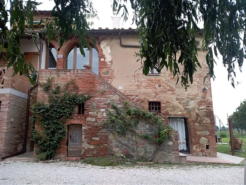 Violino - Image 1