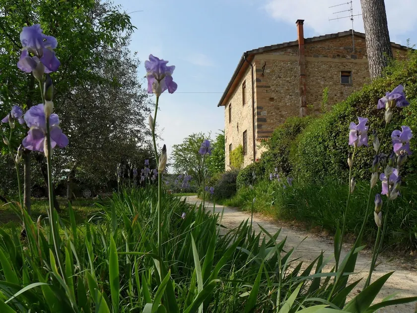 Bed and Breakfast Il Giglio Etrusco - Image 1