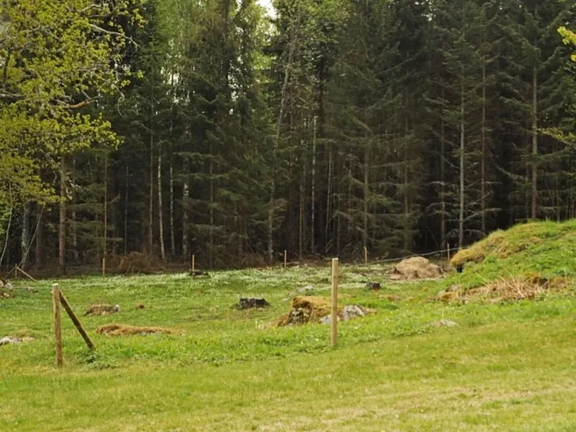 5 Person Holiday Home in Årjäng - Image 1