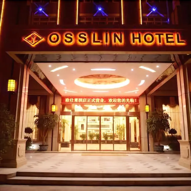 Osslin Hotel - Image 1