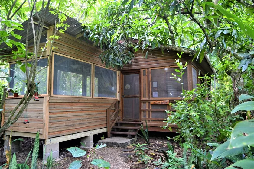 Iguana Roost Tourism Gold Standard Fully Equipped two Bedroom Cabin - Image 1