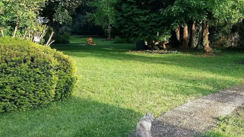 Studio in Bergerac, With Pool Access, Enclosed Garden and Wifi - 800 m - Image 1