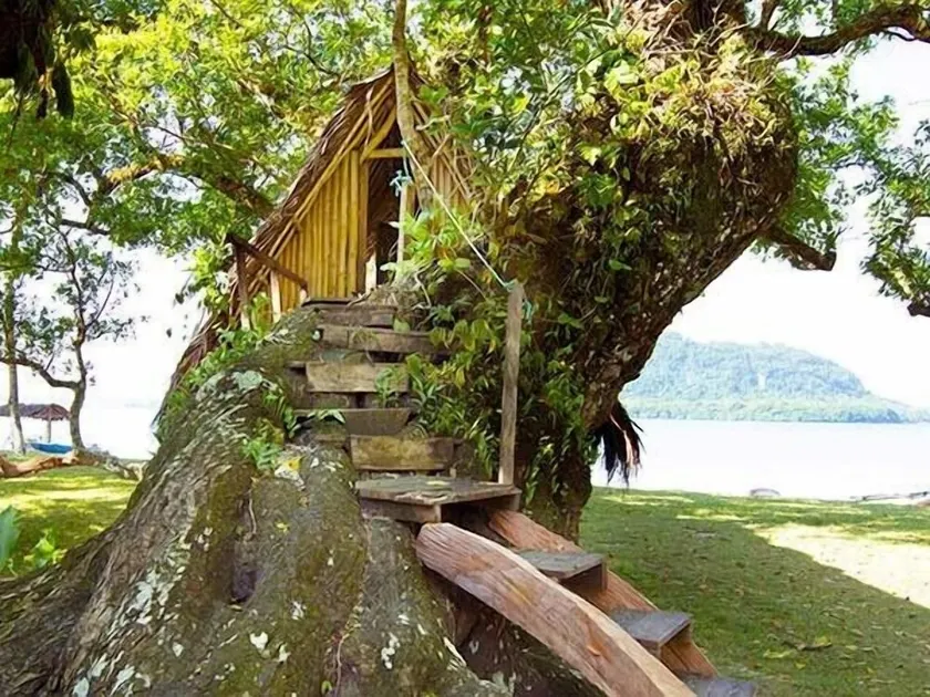 Port Olry Tree House Bungalow - Image 1