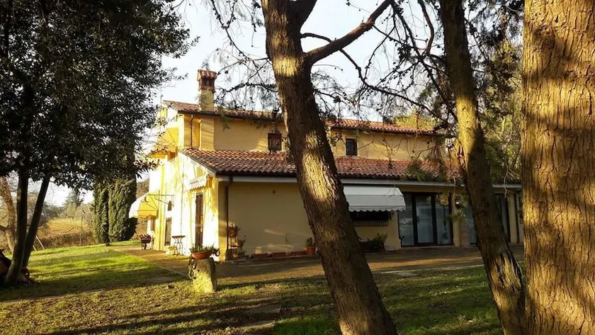 I Fagiani - Image 1