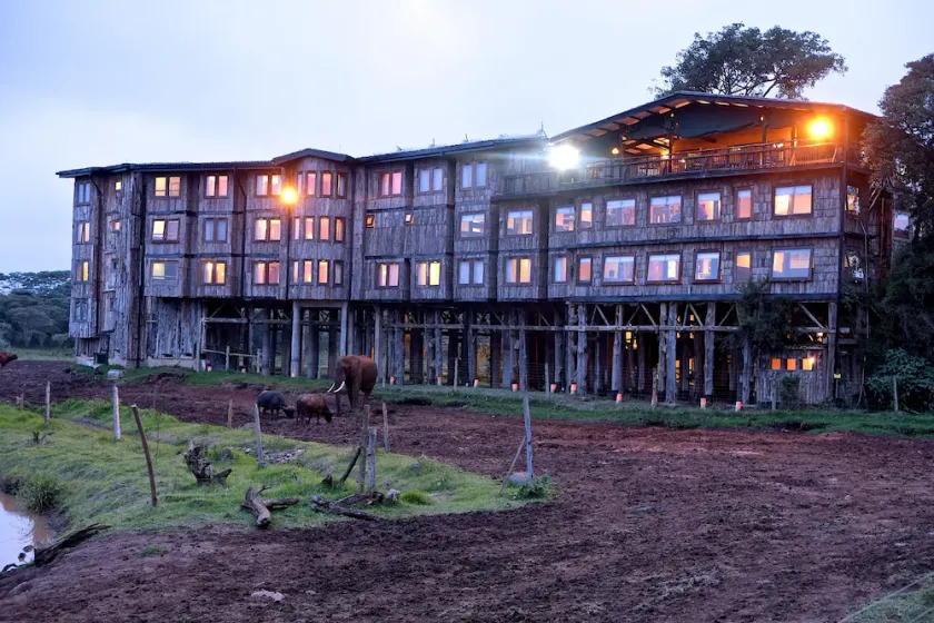 Treetops - Image 1