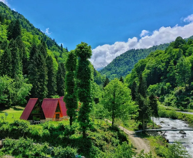 Kotit Ayder - Image 1