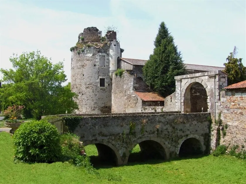 Château de la Galissonnière - Image 1
