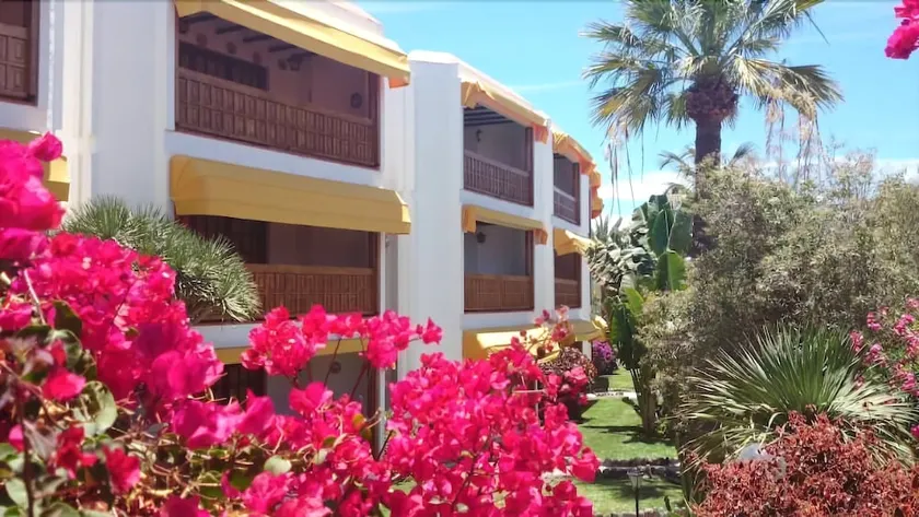 Club Canario - Image 1