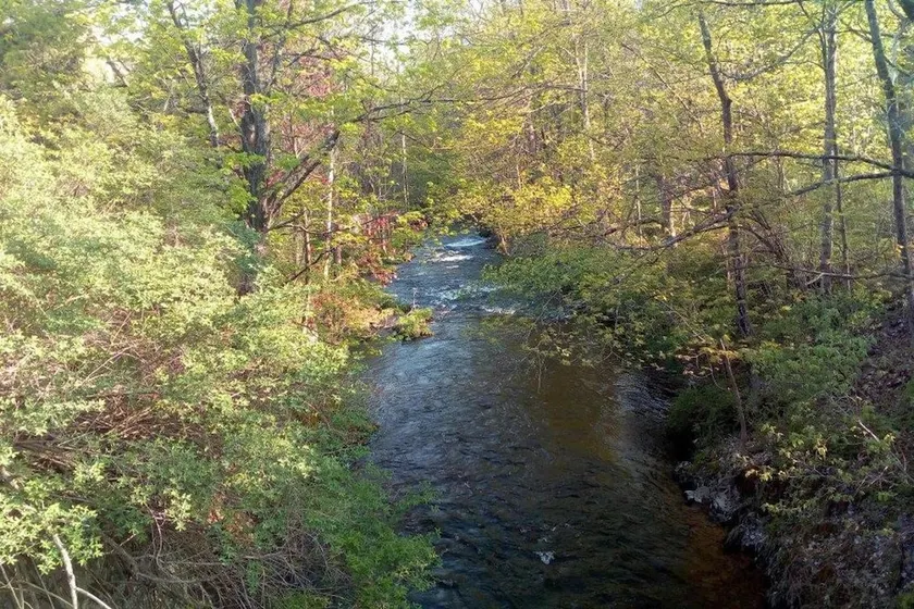 Tentrr - A Riverwalk - Campsite - Image 1