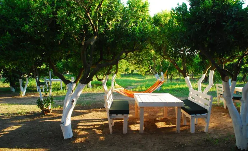 Bodrum Ecofarm Camp Hostel - Image 1