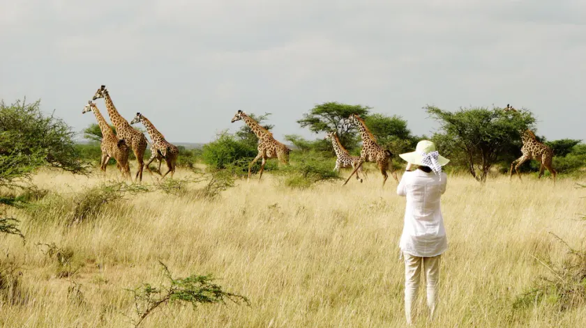 Maasai Simba Camp - Image 1