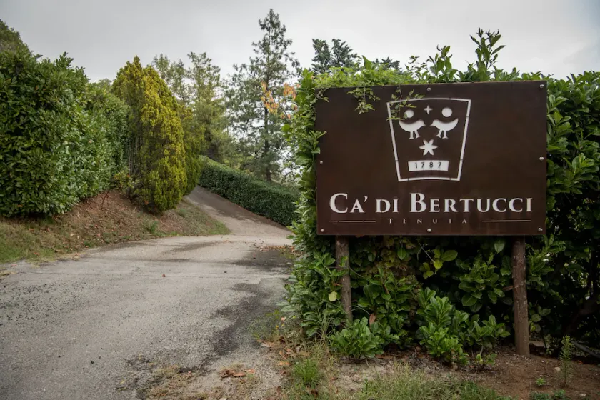 Tenuta Ca' Di Bertucci - Image 1