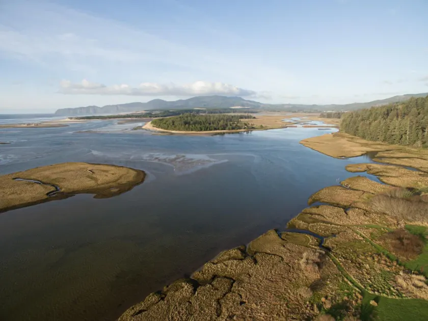 The Sandlake View - Image 1