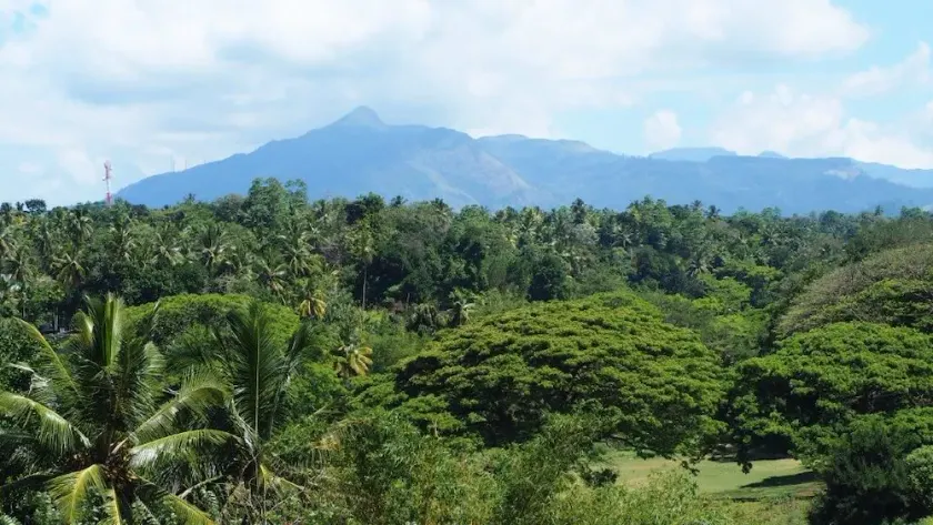 KANDY HOLIDAY HOME - Image 1