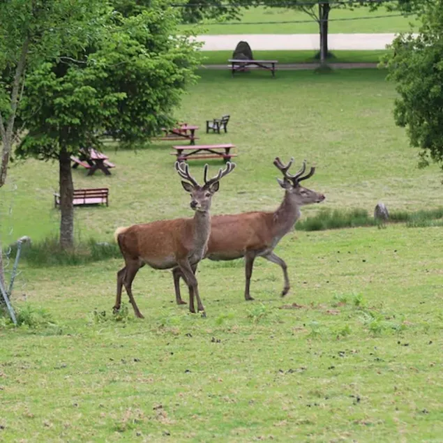 Le Sterou Parc Naturel - Image 1