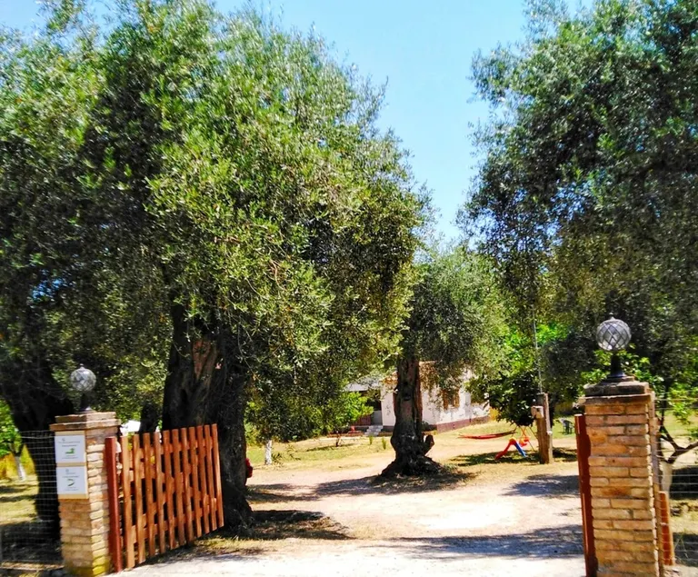 Holiday House on the North Coast of Corfu - Image 1