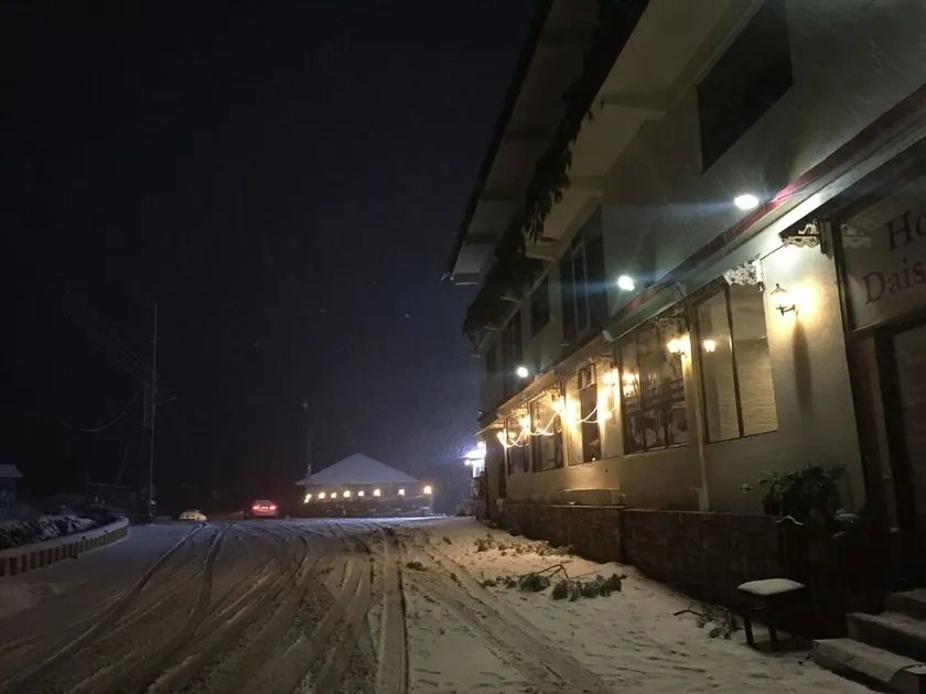 Daisy Dot Hotel - Image 1
