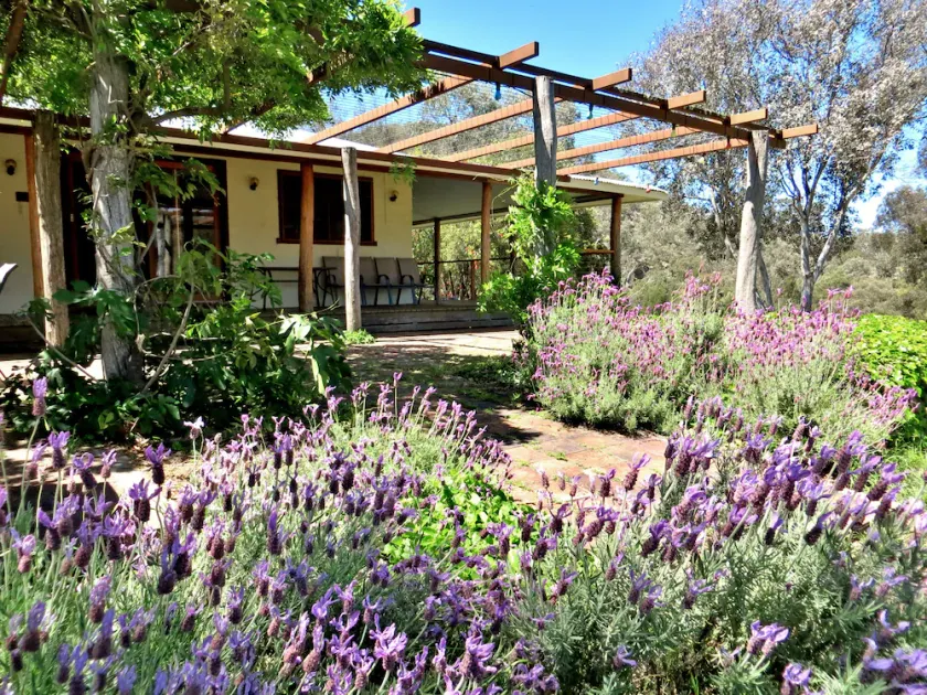 Capertee National Park Cottages - Image 1
