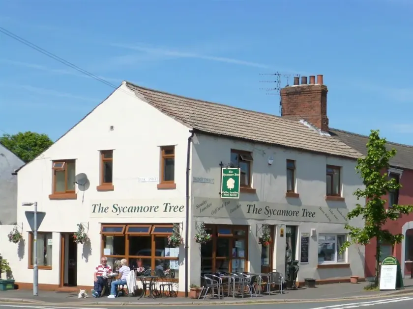 The Sycamore Tree - Image 1