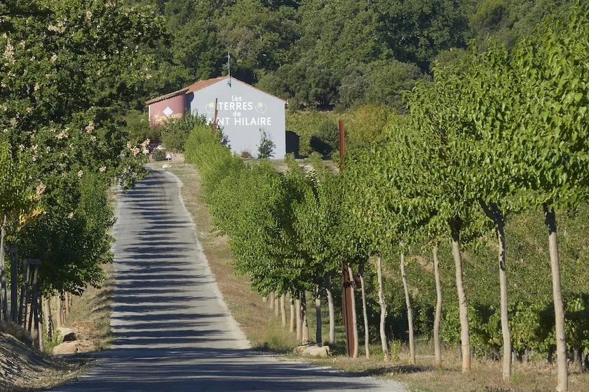 Les Terres de Saint Hilaire - Image 1