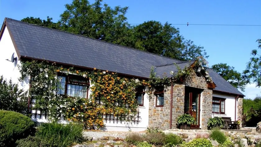 Swallows Rest - Image 1