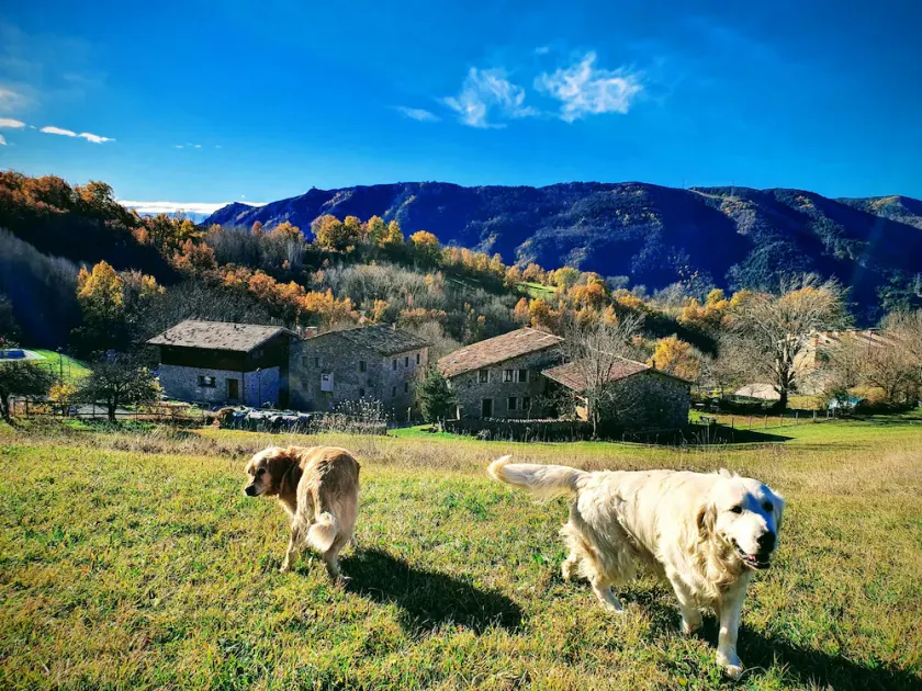 Turismo Rural Casa del Batlle - Image 1