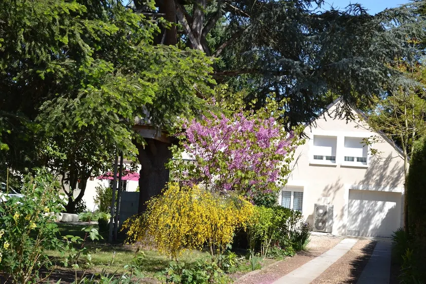 La Maison Des Ecureuils - Image 1