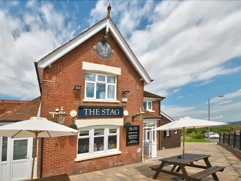 The Stag - Image 1