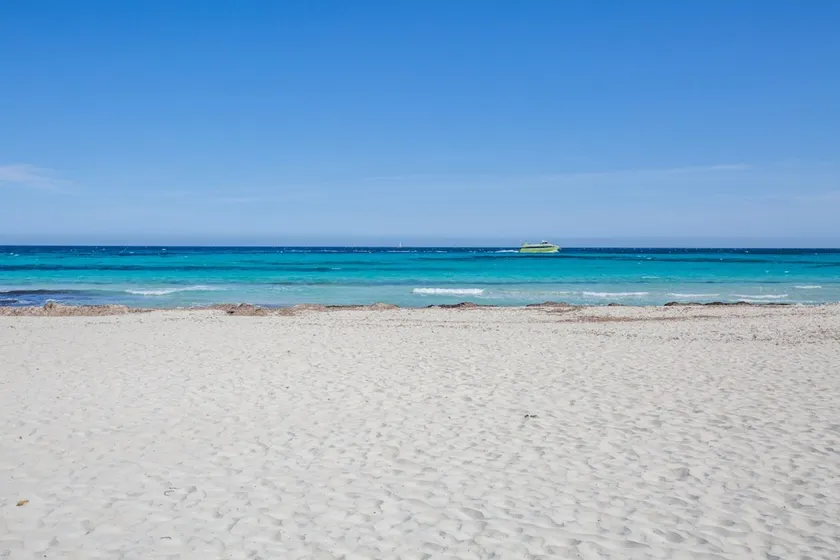 SA COMA DALIES - Image 1
