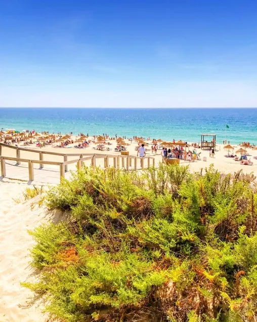 House With 4 Bedrooms in Comporta, With Enclosed Garden and Wifi - Image 1